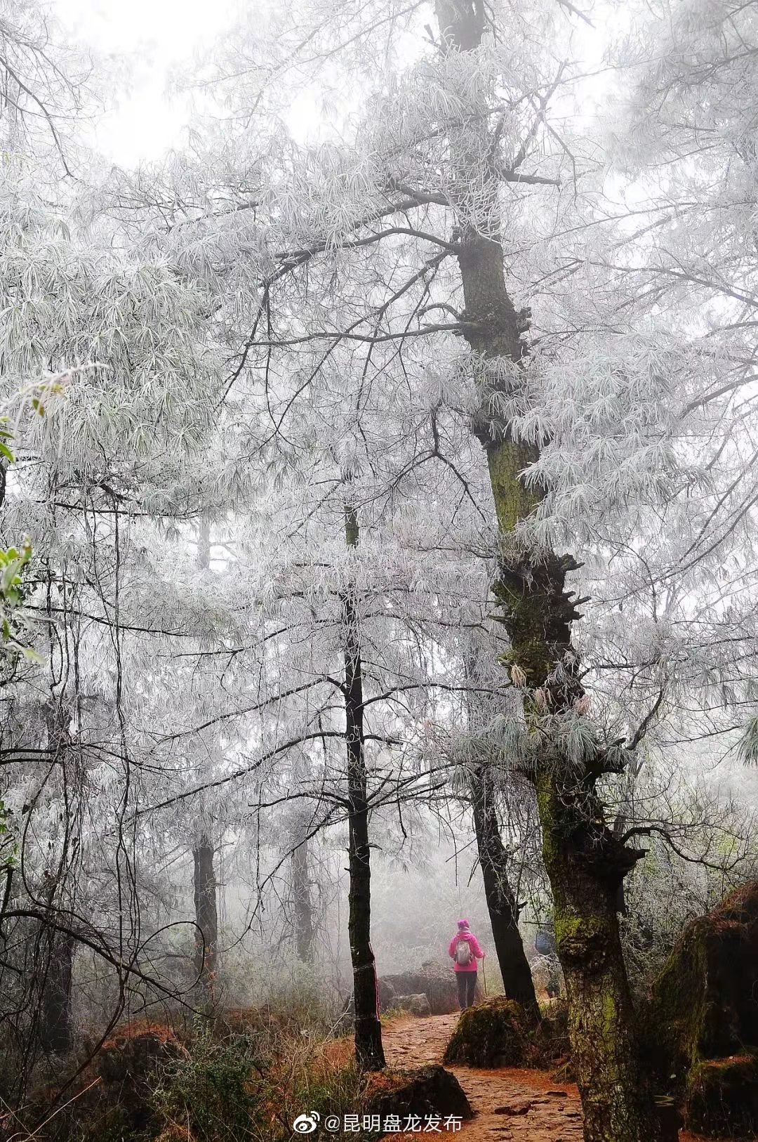 昆明市西山景区暂停开放