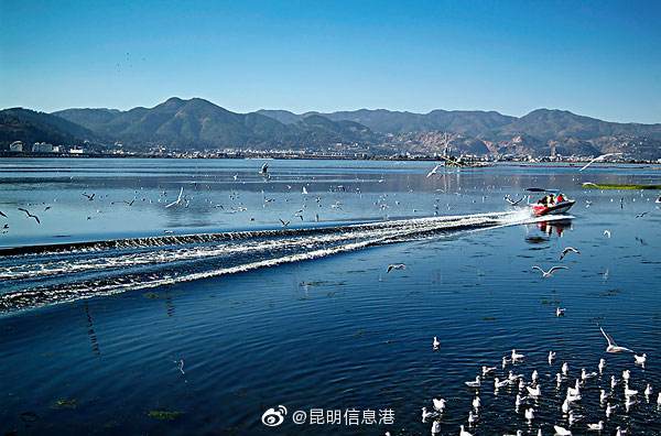 2021年昆明“滤清”污水近6亿立方米