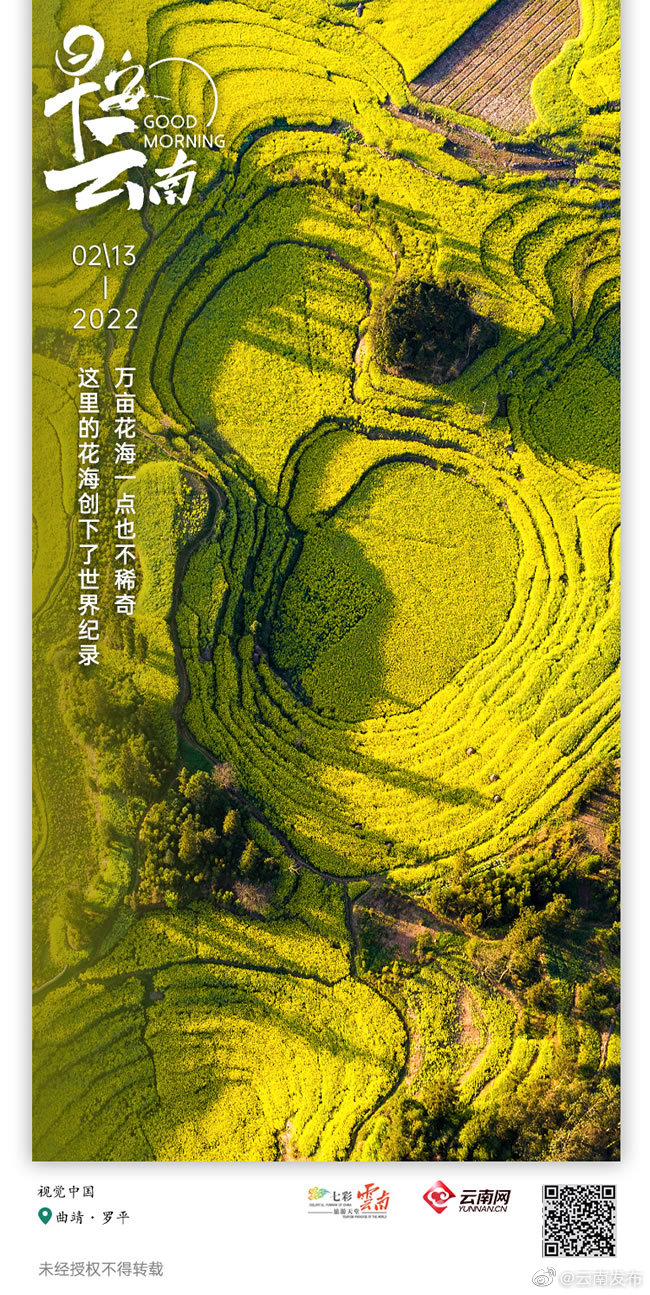 油菜花开了，到罗平的金色浪花里翻腾吧