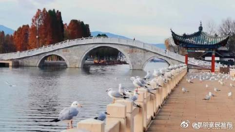 “昆明富民发布”微博