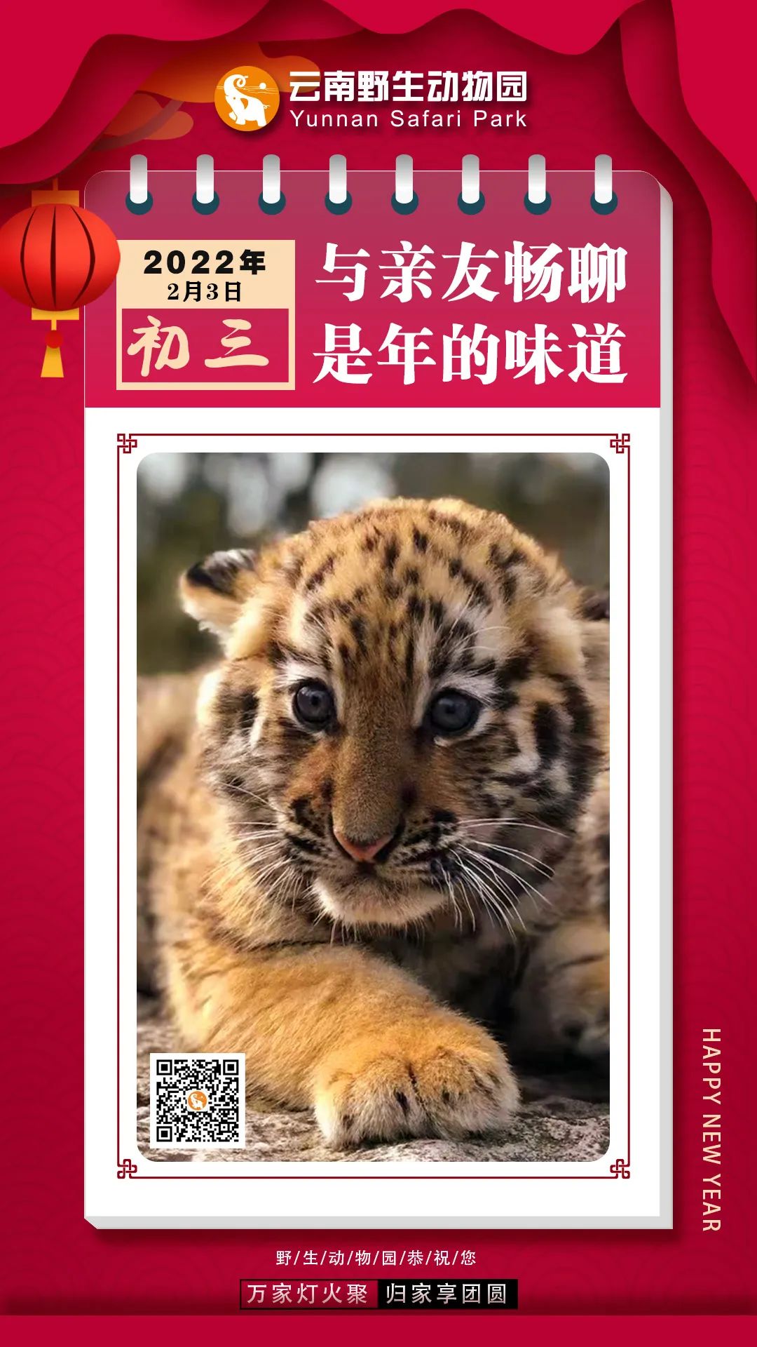 初三|与亲友畅聊，是年的味道