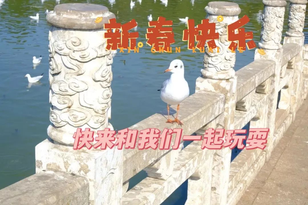 大观楼