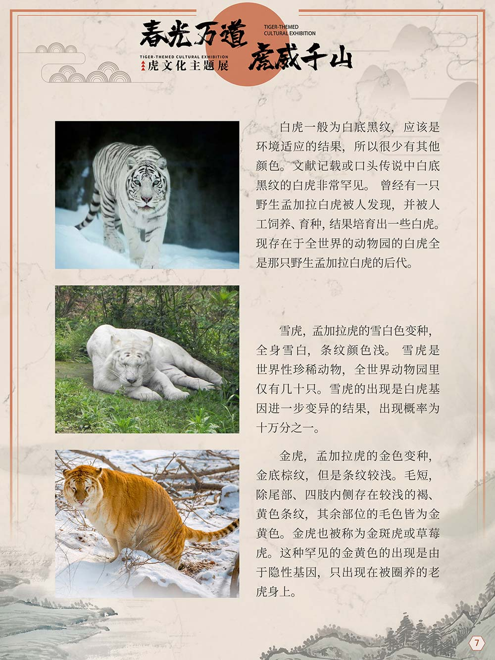 云南省图书馆