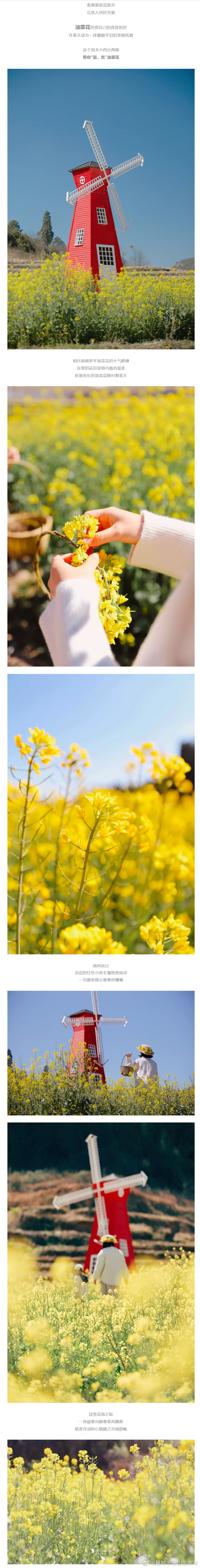 “昆明市西山区发布”微博