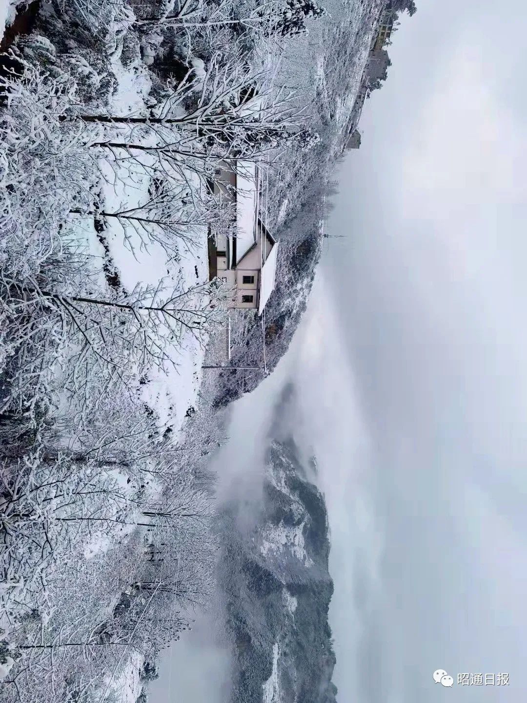 昭通日报