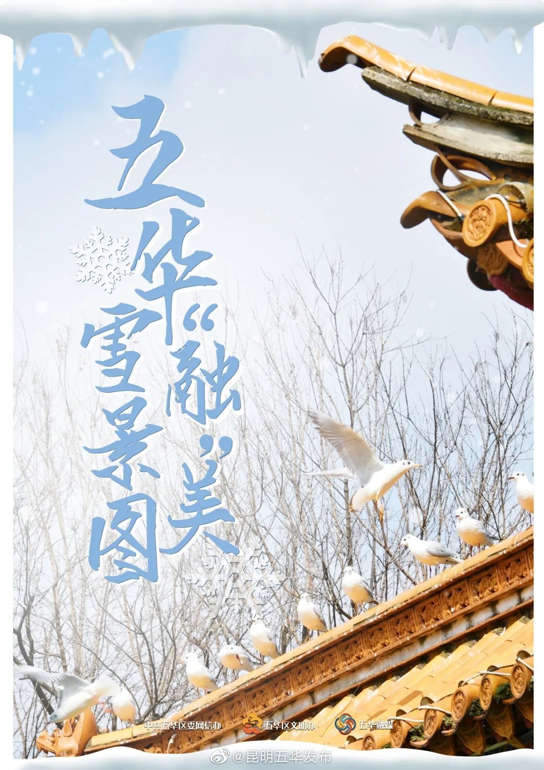 “昆明五华发布”微博