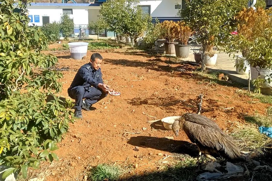 云南丽江警方
