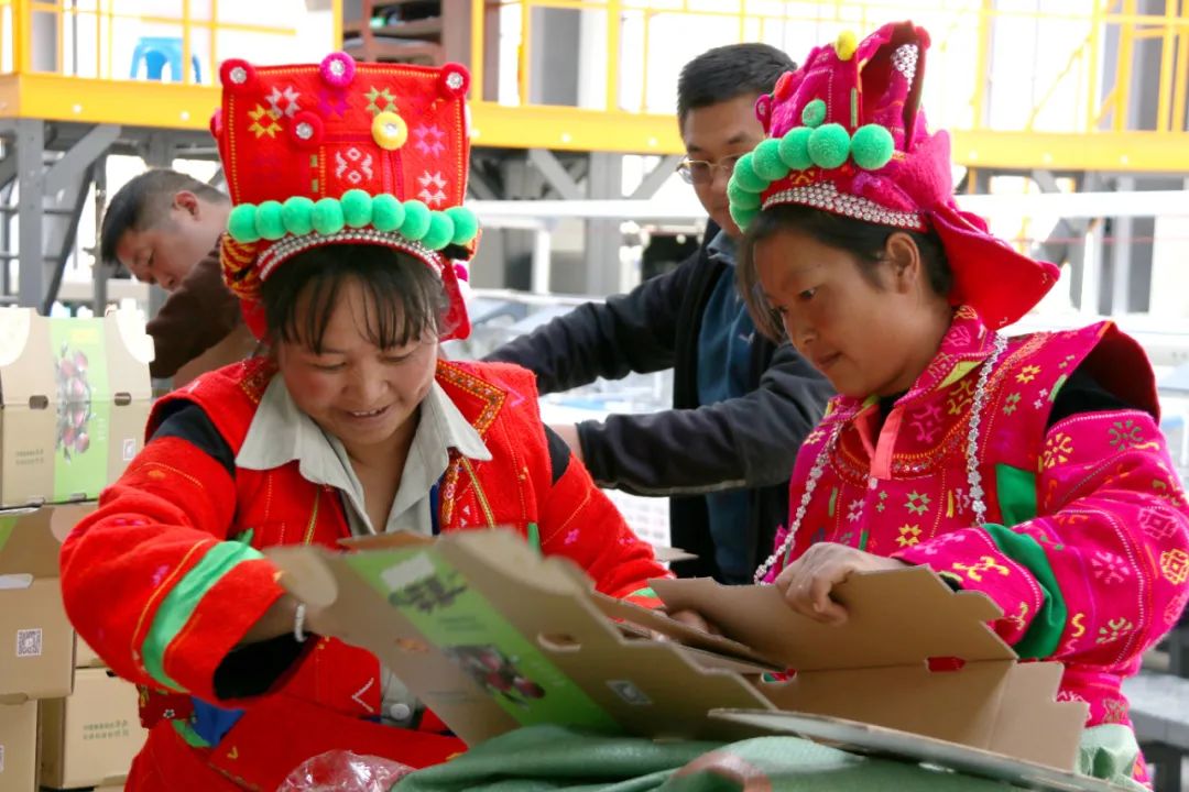 云南省人民政府网