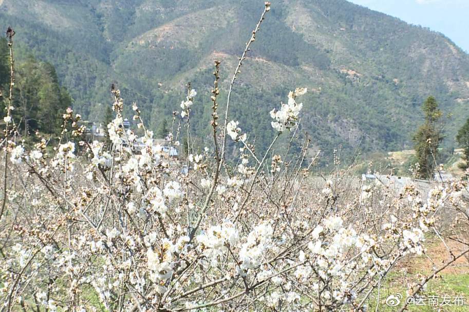 “云南发布”微博