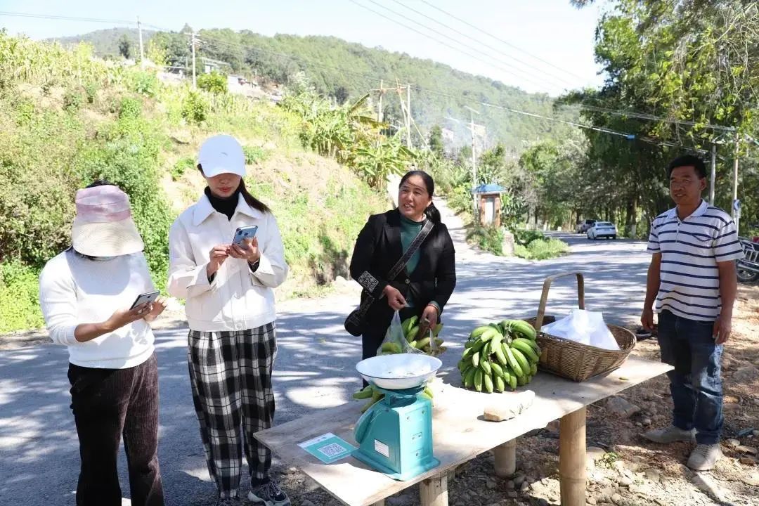 普洱日报