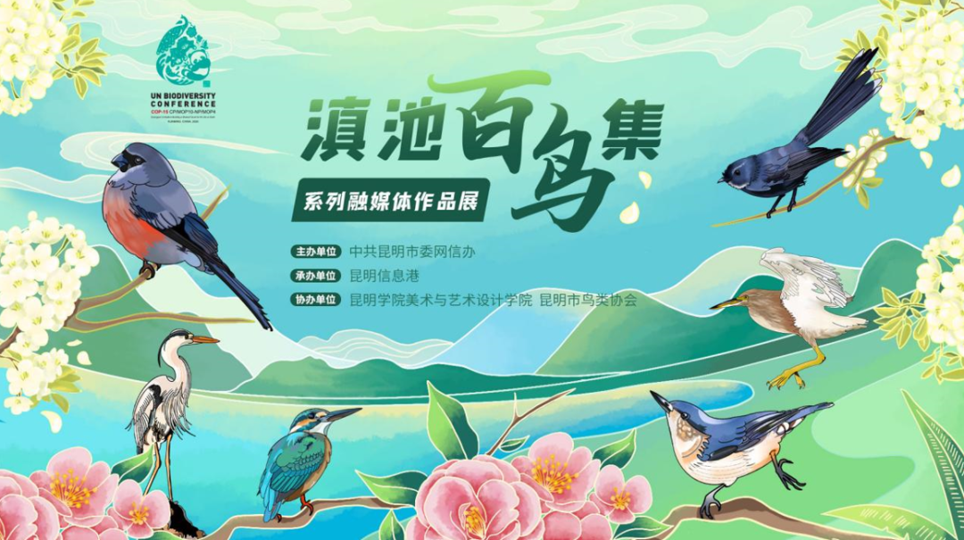 昆明信息港/cnkmxxg