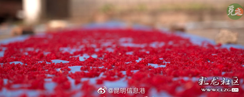 昆明信息港