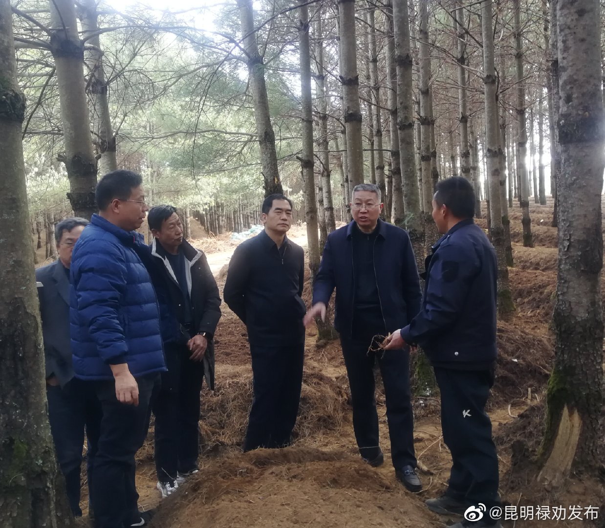 昆明禄劝发布