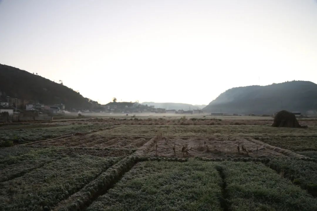 保山新闻网