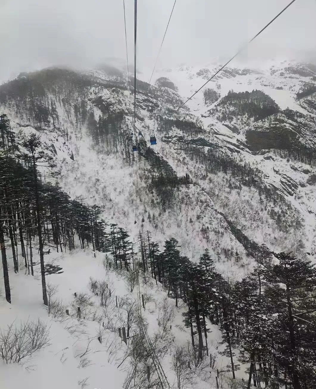 丽江日报