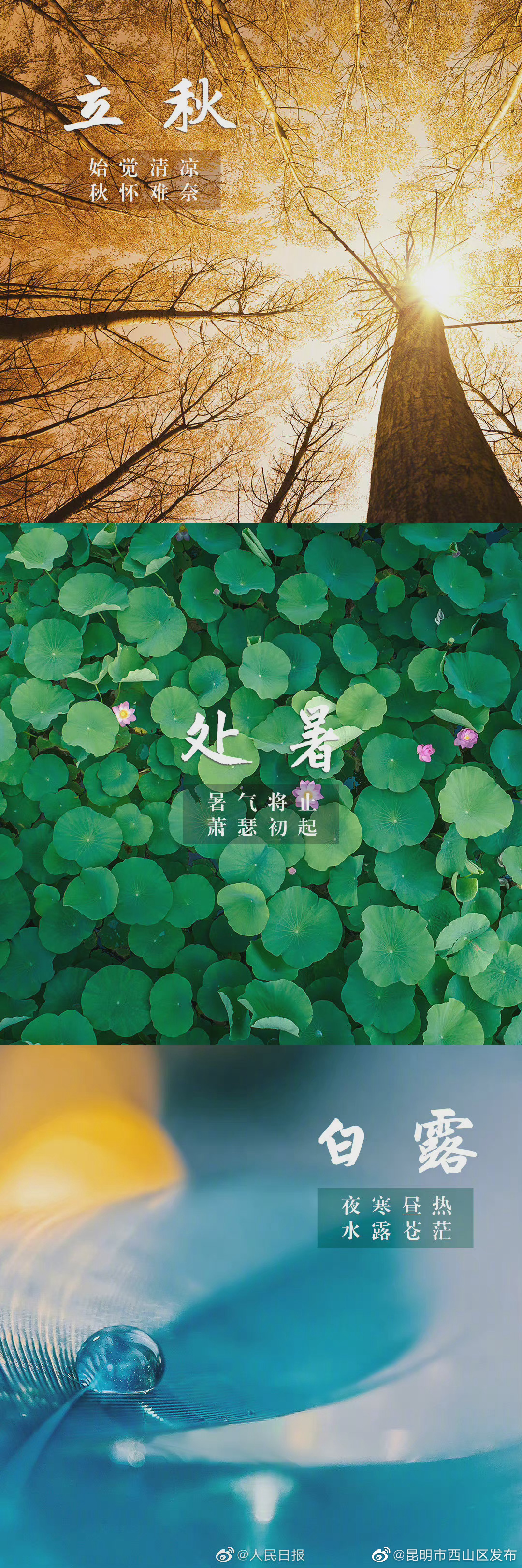 “昆明市西山区发布”微博