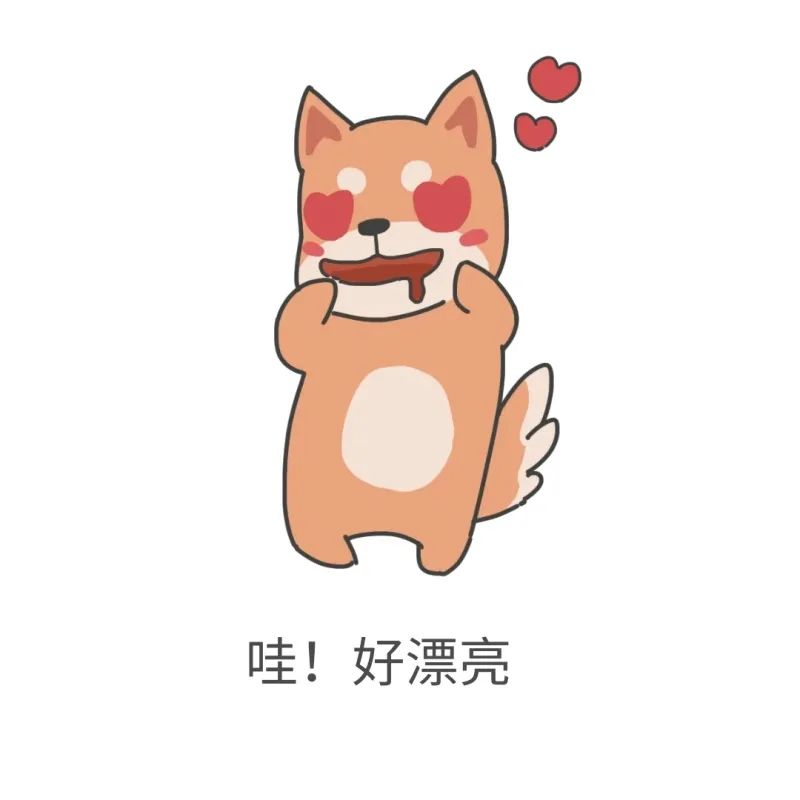东川发布(微信)