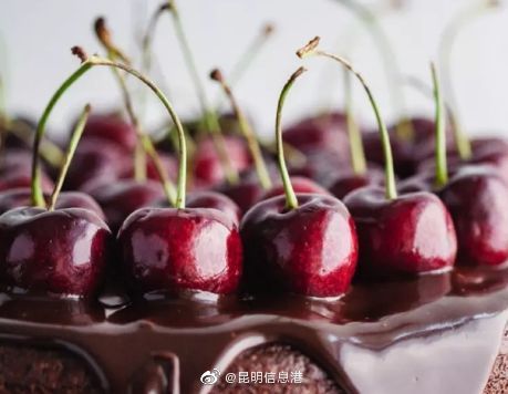 昆明信息港