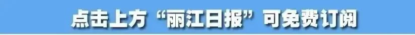 丽江日报