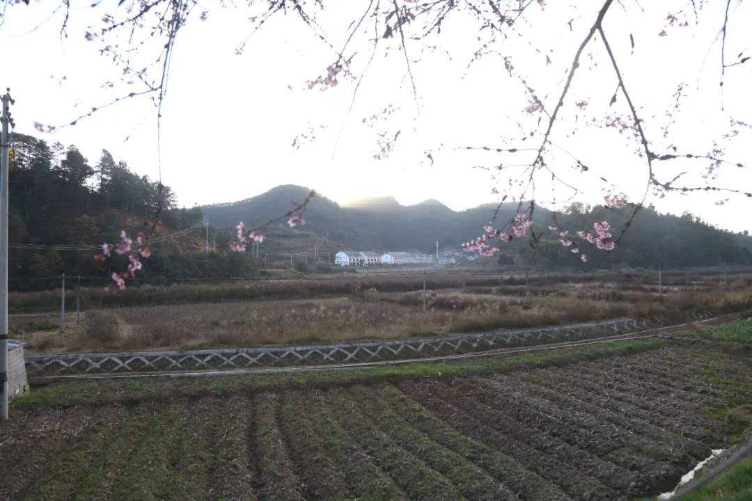 保山新闻网