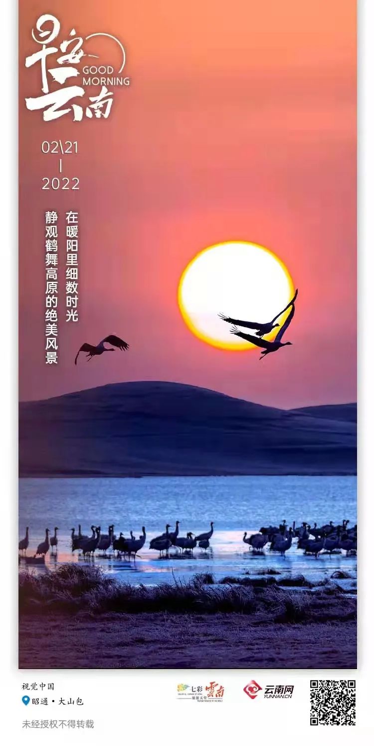 云南省人民政府网