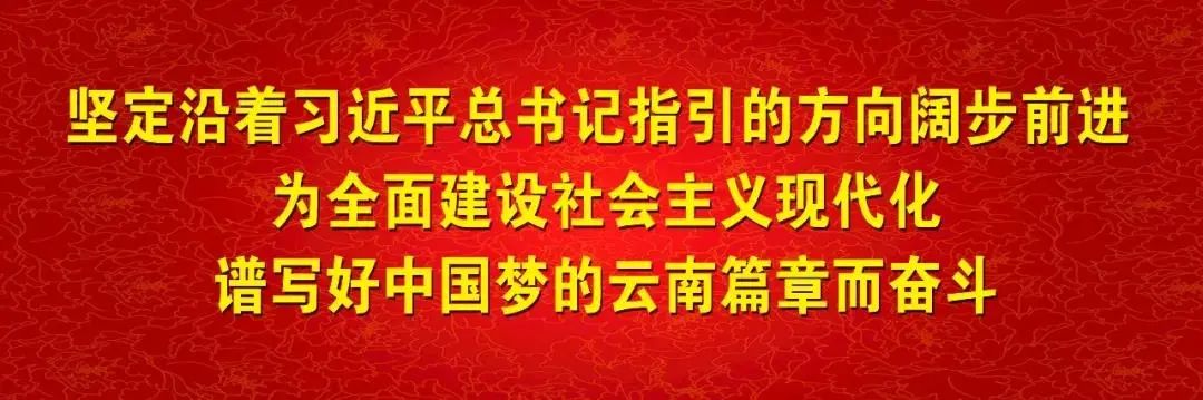 丽江日报
