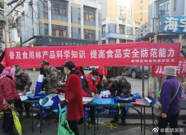 我县开展“食用林产品安全”主题宣传日活动