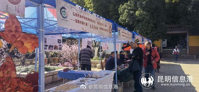 昆明信息港