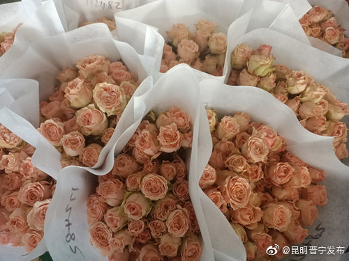 昆明晋宁发布