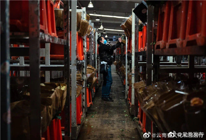 呈贡发布