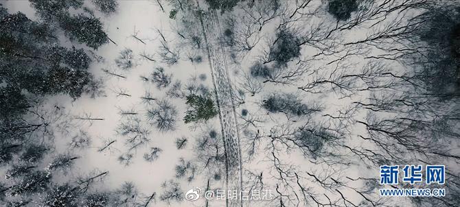 昆明信息港