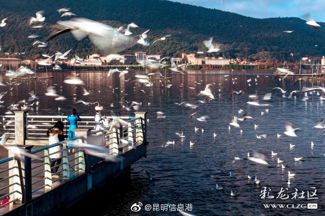 昆明信息港