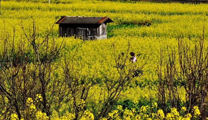 红河文旅