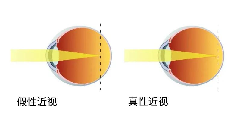 春城晚报