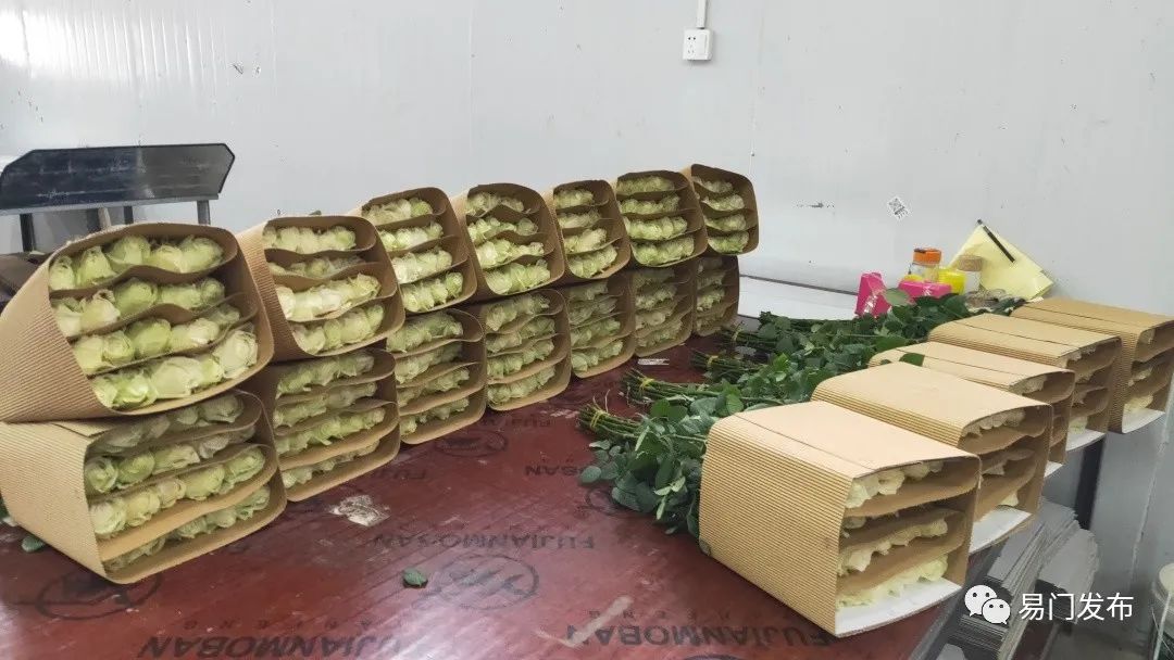 玉溪发布