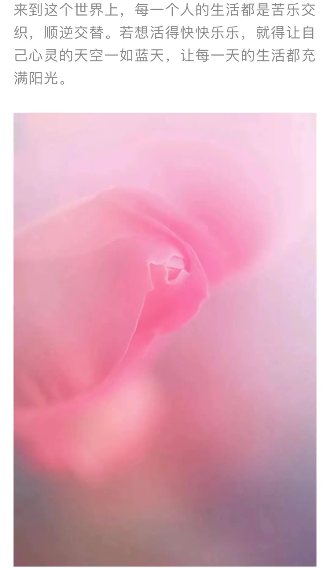 红色扎西