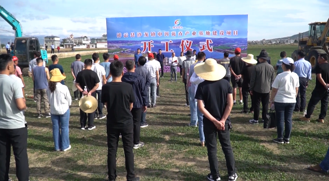 大理电视台
