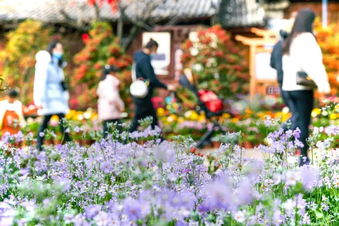 丽江日报