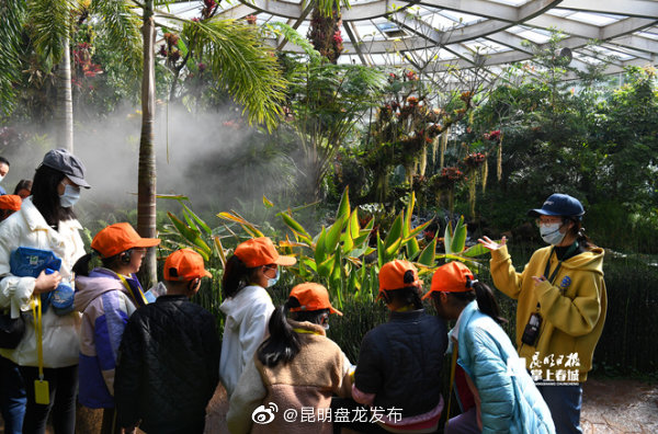昆明盘龙发布