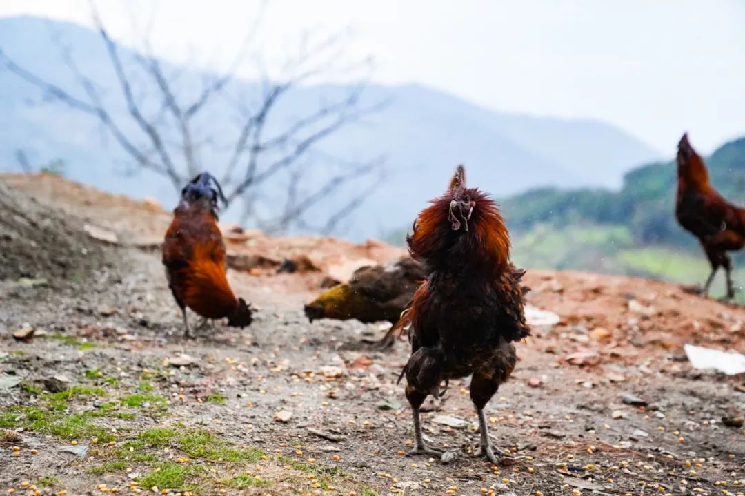 昆明铁路