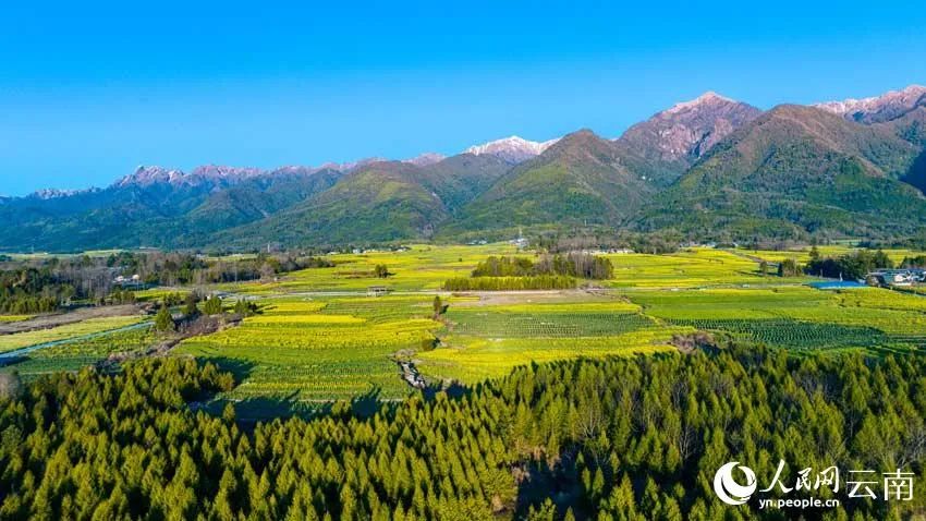 保山新闻网