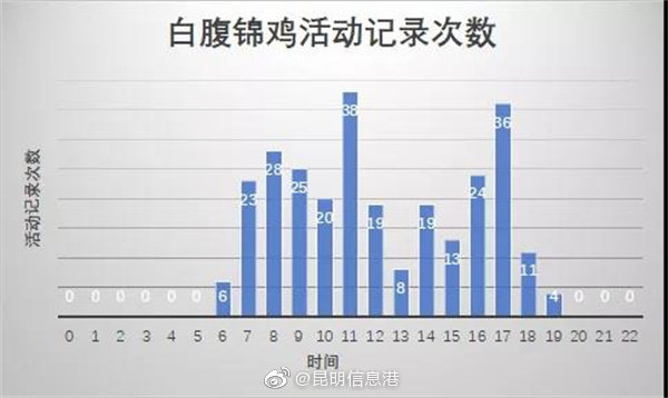 昆明信息港
