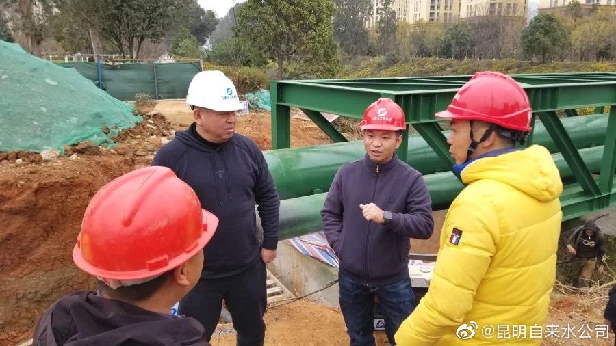 逐梦飞扬 绿树常青