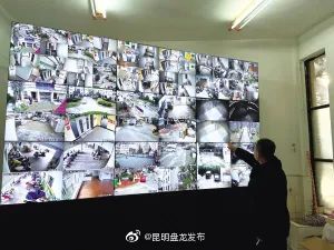 盘龙这个小区一年完成18部老旧电梯更换！秘诀是……