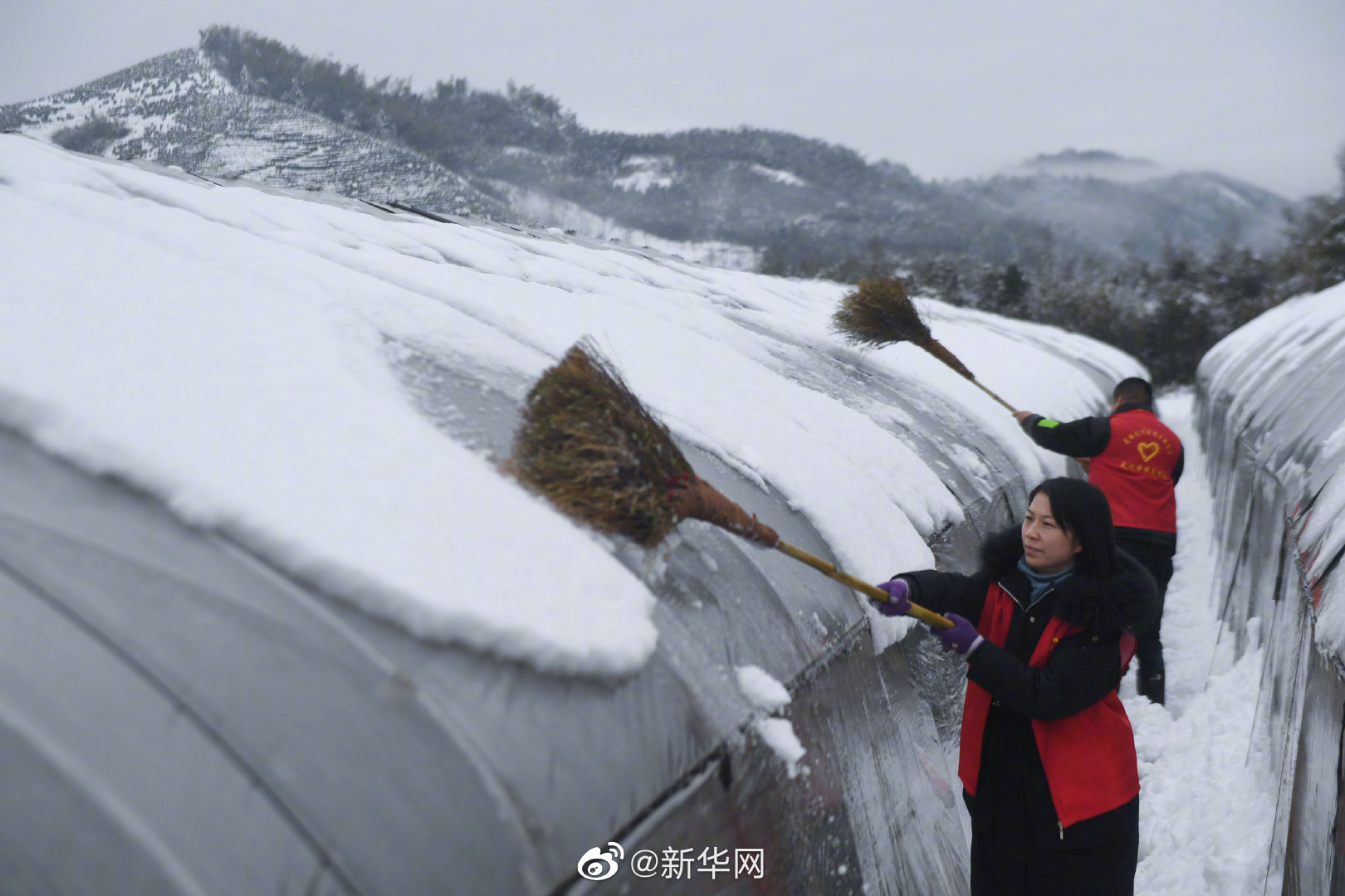 暴雪蓝色预警！河北天津等地部分地区有大雪