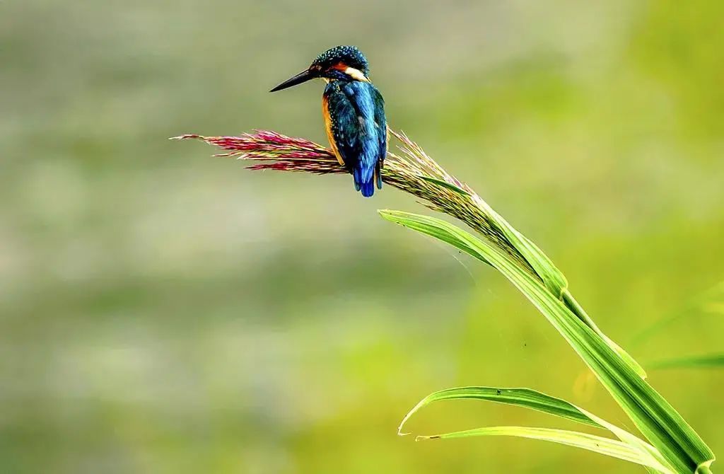 保山广播电视台