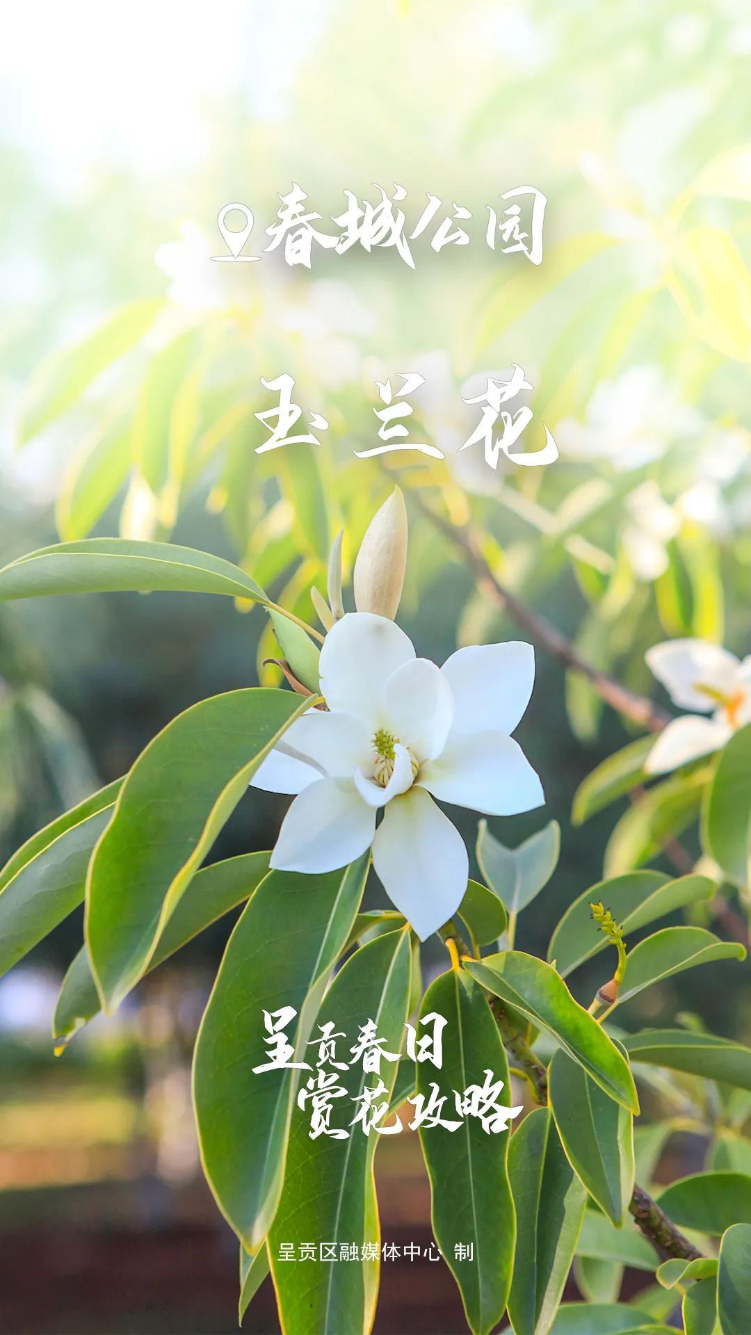 昆明生态环境