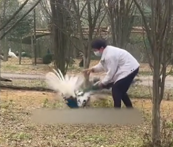 春城晚报