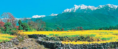 云南省文化和旅游厅