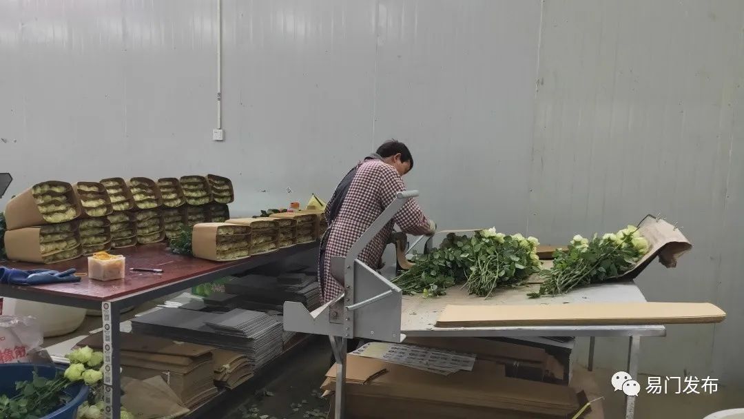 玉溪发布